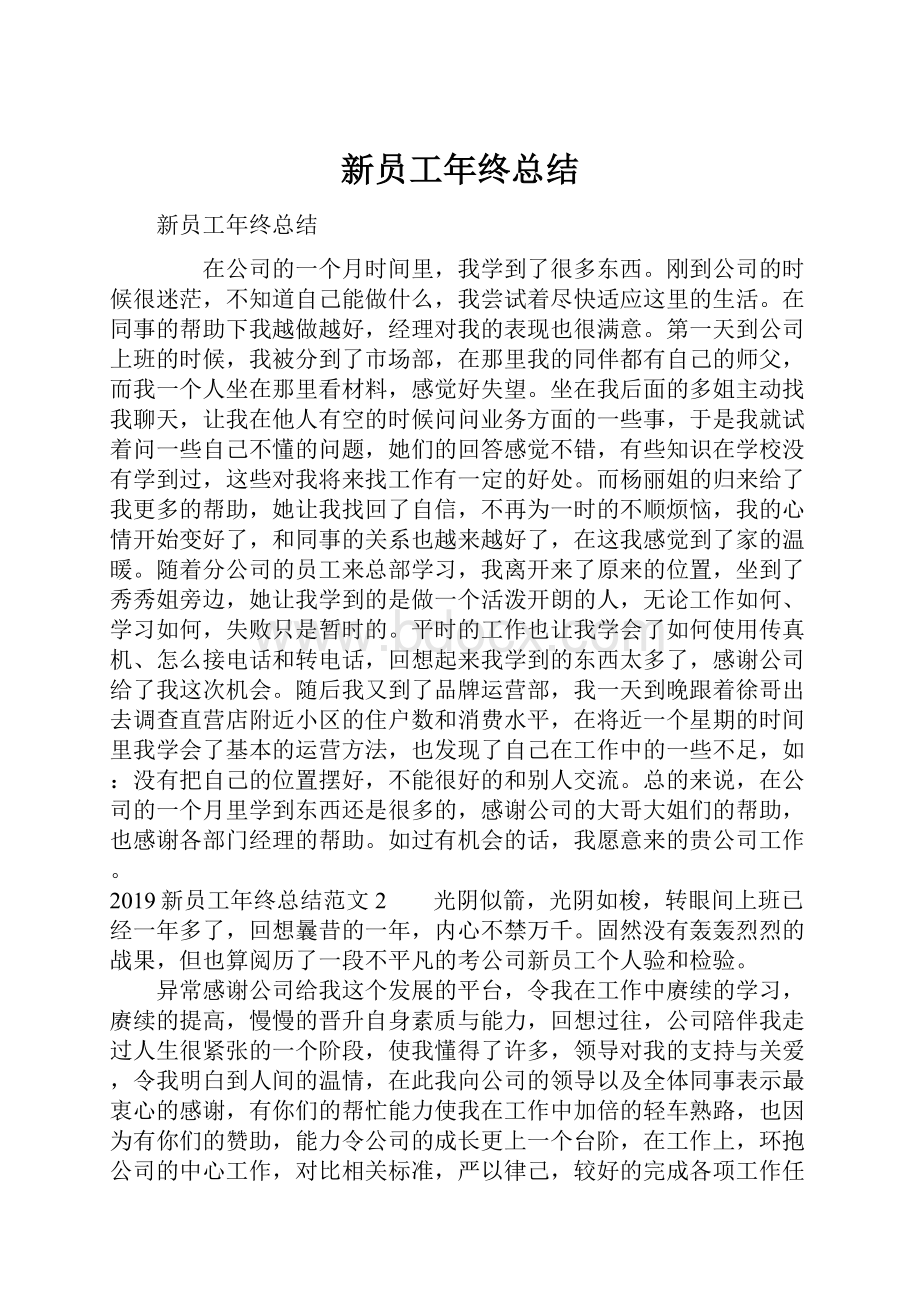 新员工年终总结.docx