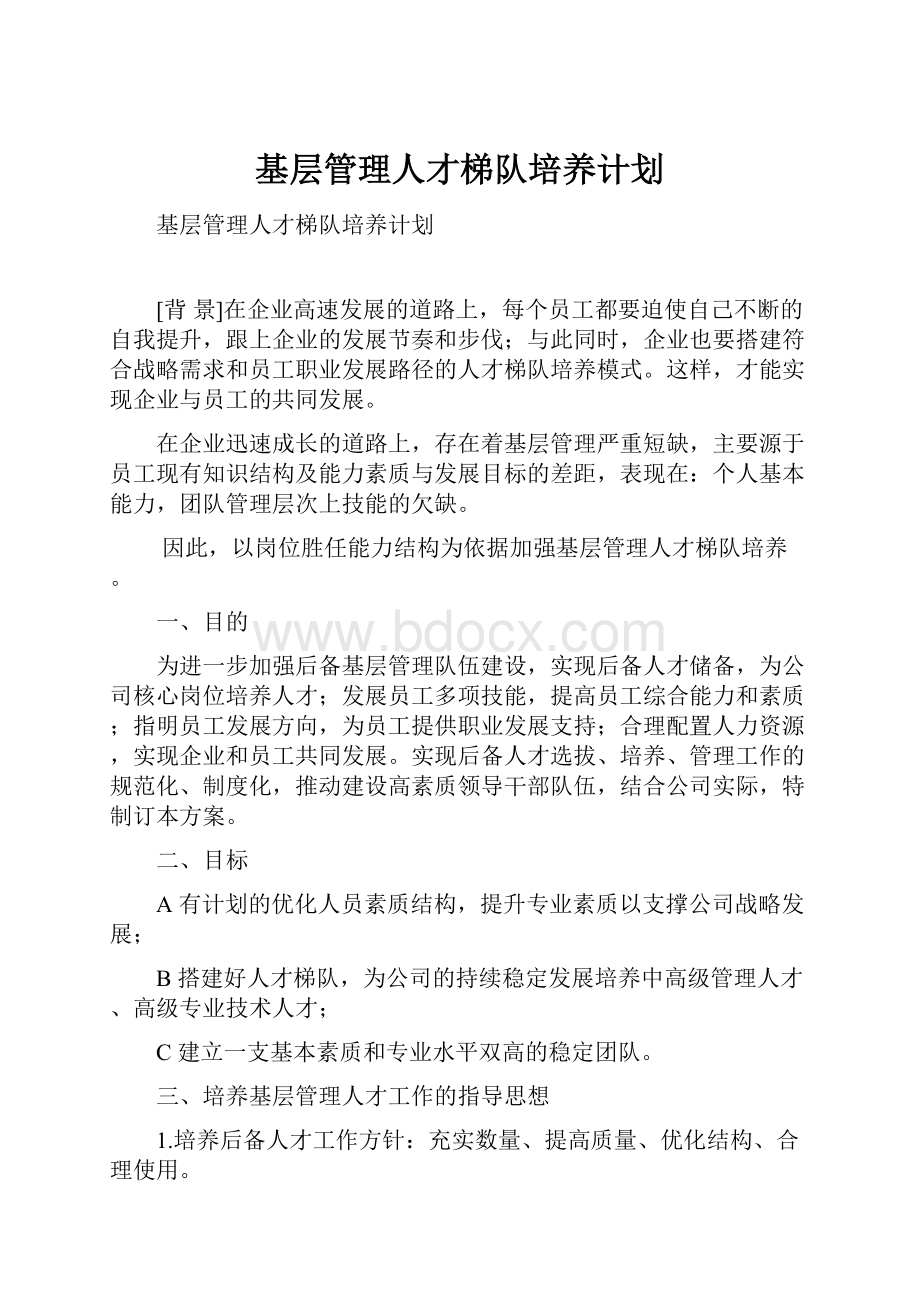 基层管理人才梯队培养计划.docx