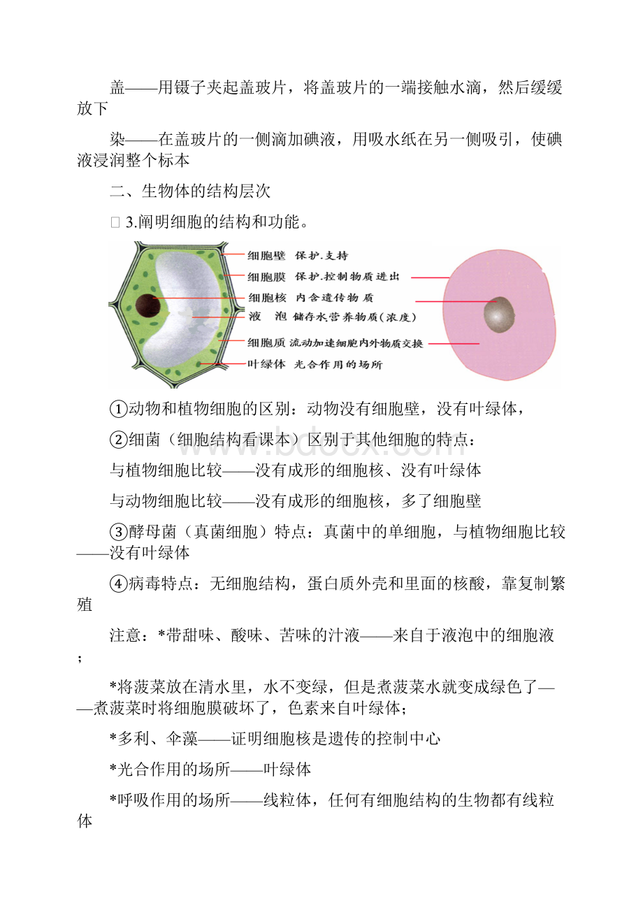 初中生物会考经典讲义 济南版.docx_第2页