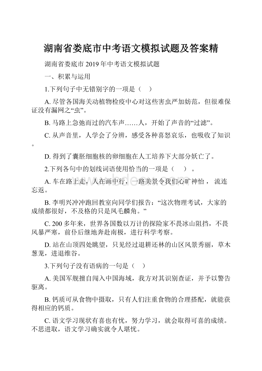 湖南省娄底市中考语文模拟试题及答案精.docx_第1页