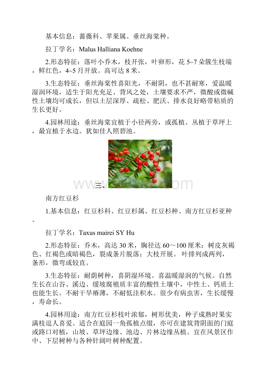 园林植物学常见乔木灌木地被植物.docx_第2页