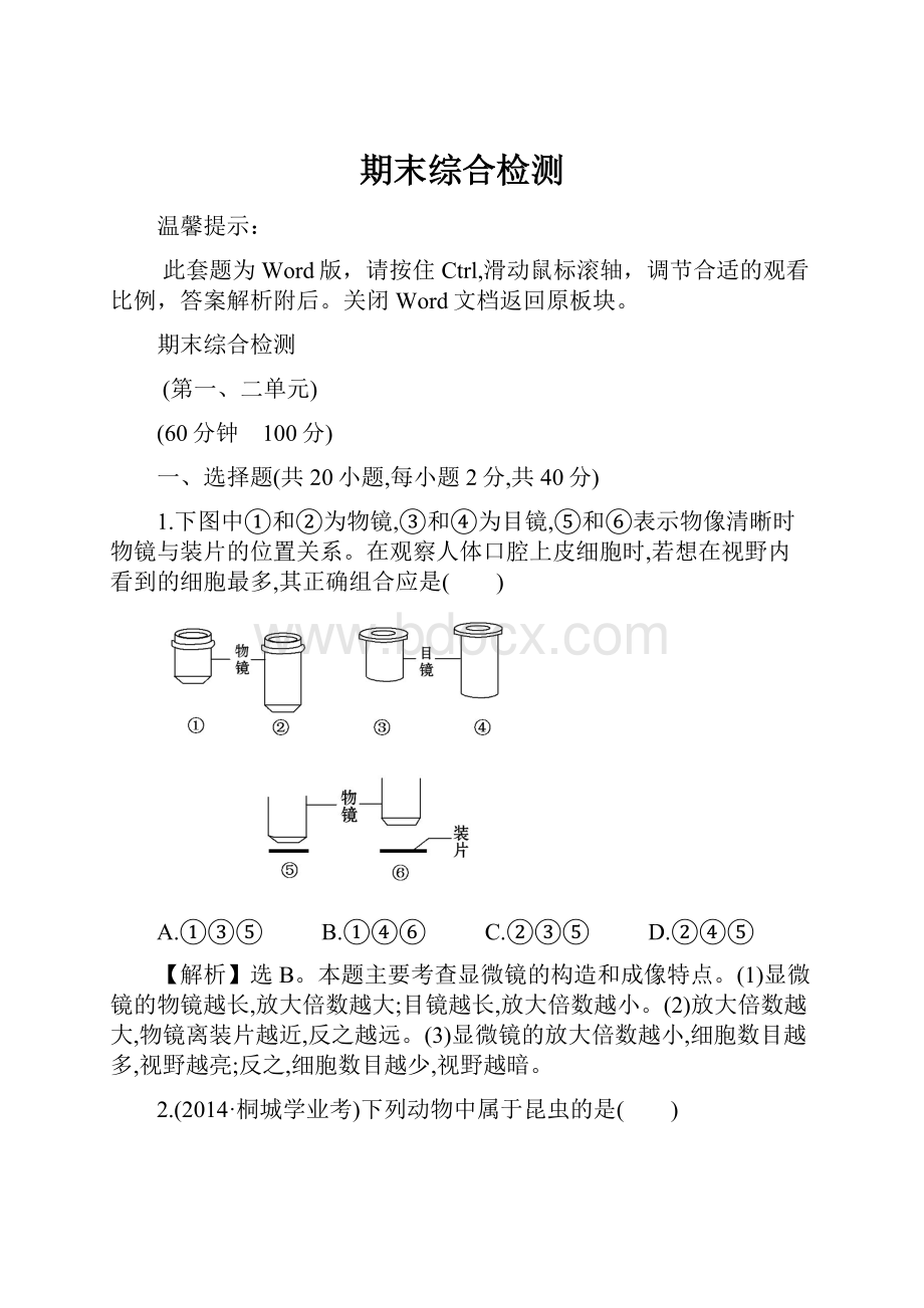 期末综合检测.docx_第1页