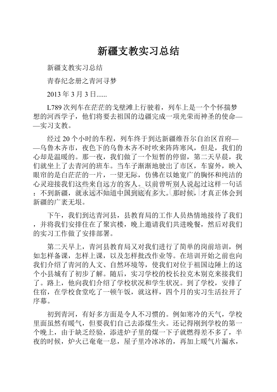 新疆支教实习总结.docx