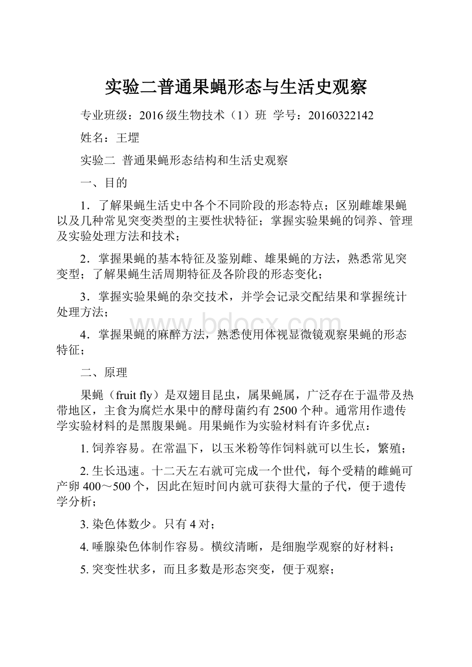 实验二普通果蝇形态与生活史观察.docx_第1页