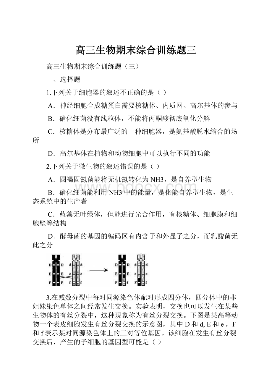 高三生物期末综合训练题三.docx