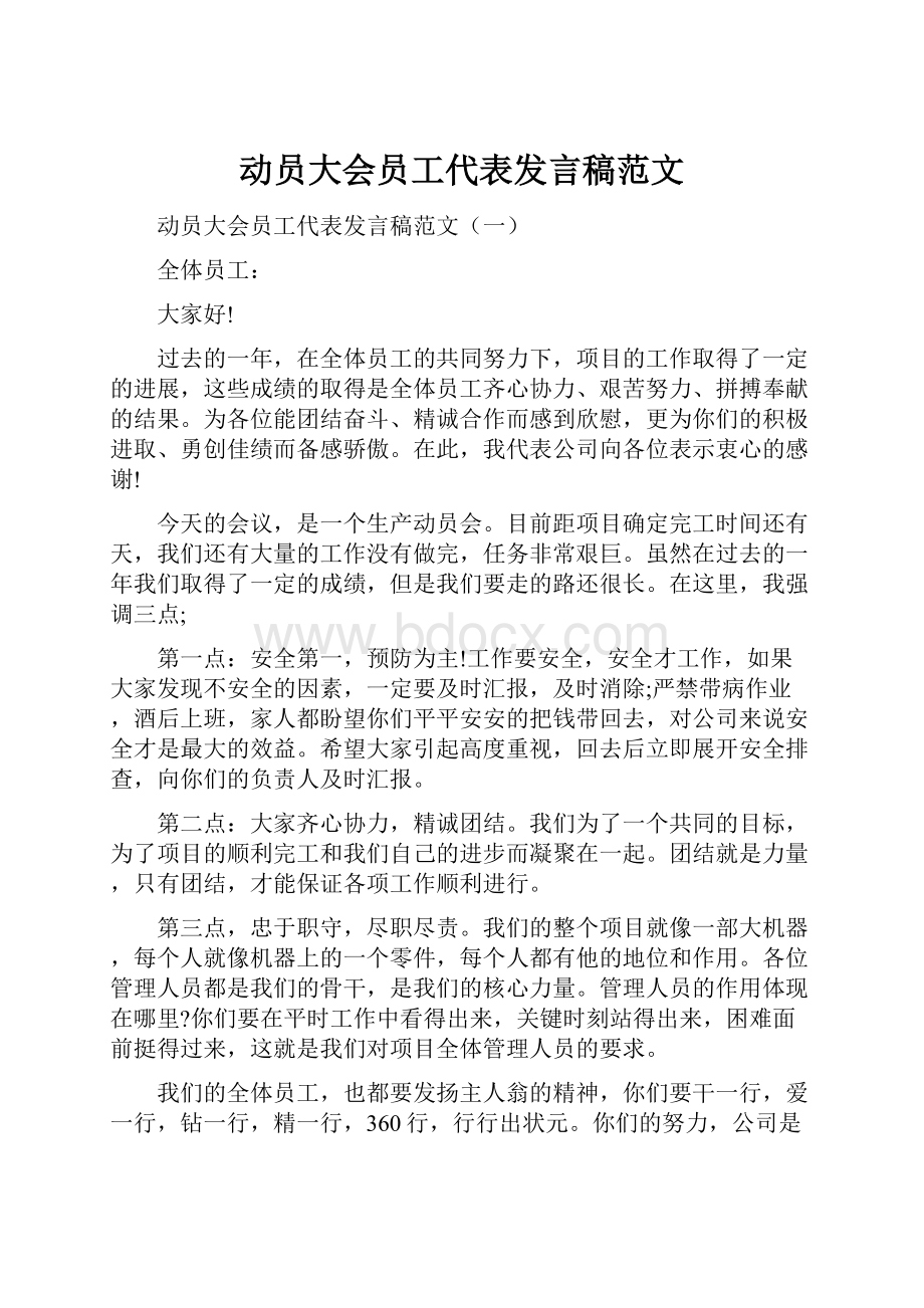 动员大会员工代表发言稿范文.docx