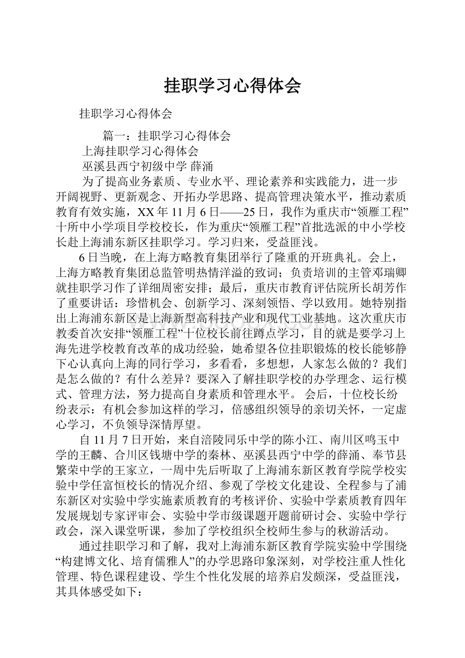 挂职学习心得体会.docx