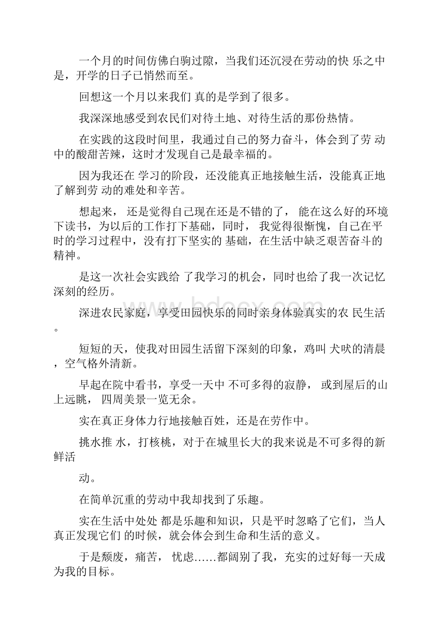 端午节社会实践报告共9篇.docx_第3页