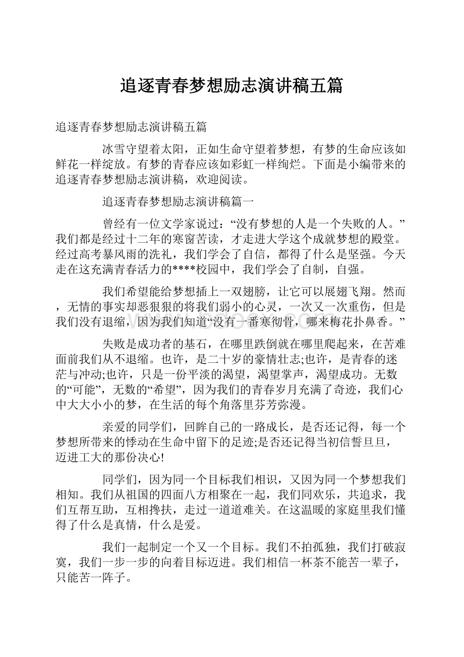 追逐青春梦想励志演讲稿五篇.docx