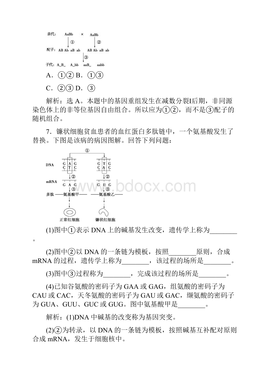 新教材高中生物第5章基因突变及其他变异第1节基因突变和基因重组练习修第二册0.docx_第3页