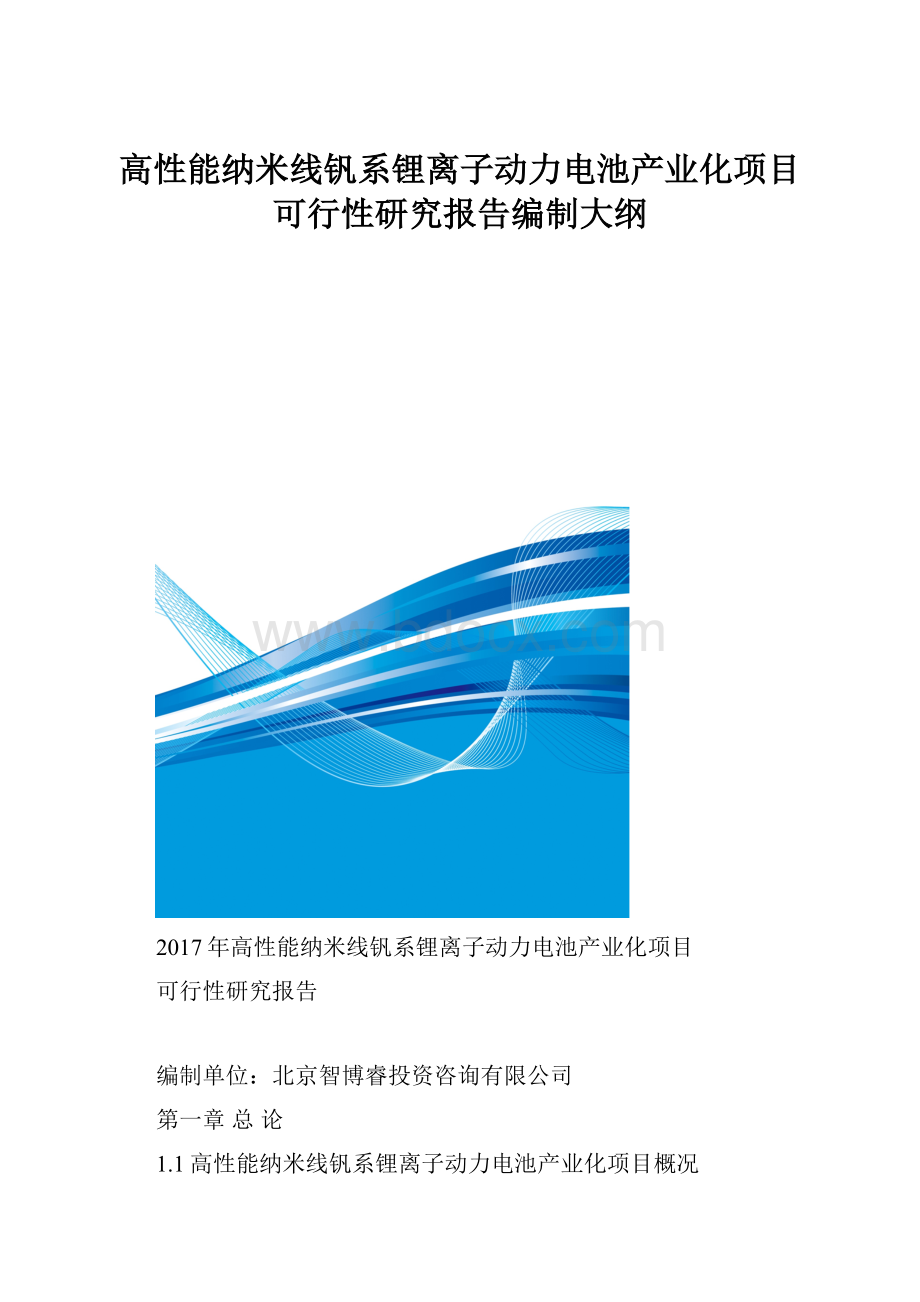 高性能纳米线钒系锂离子动力电池产业化项目可行性研究报告编制大纲.docx_第1页