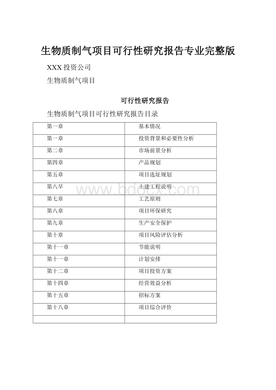 生物质制气项目可行性研究报告专业完整版.docx