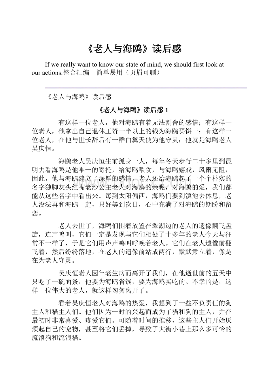 《老人与海鸥》读后感.docx