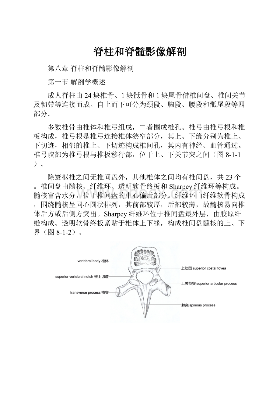 脊柱和脊髓影像解剖.docx