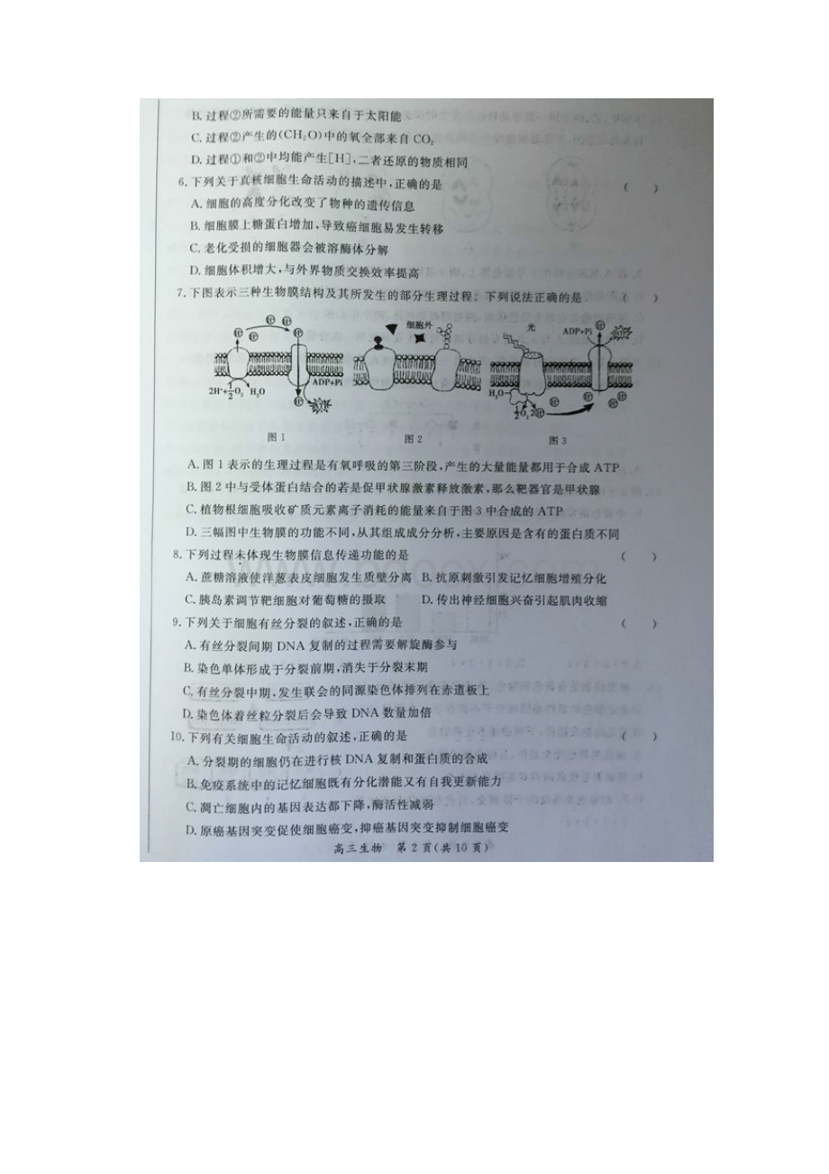 北京市40所示范校届高三联考基础能力测试一生物试题 扫描版无答案.docx_第2页