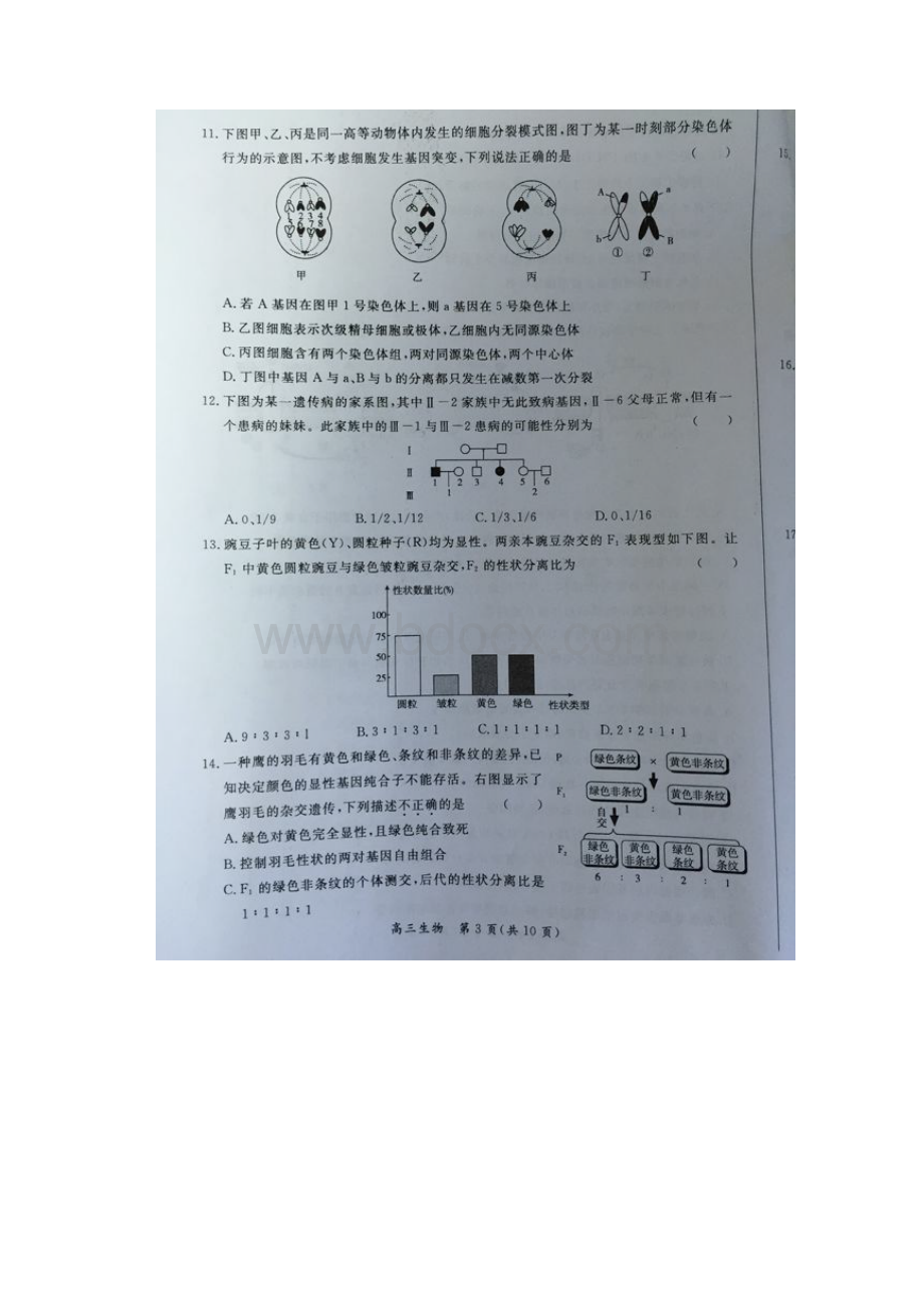 北京市40所示范校届高三联考基础能力测试一生物试题 扫描版无答案.docx_第3页