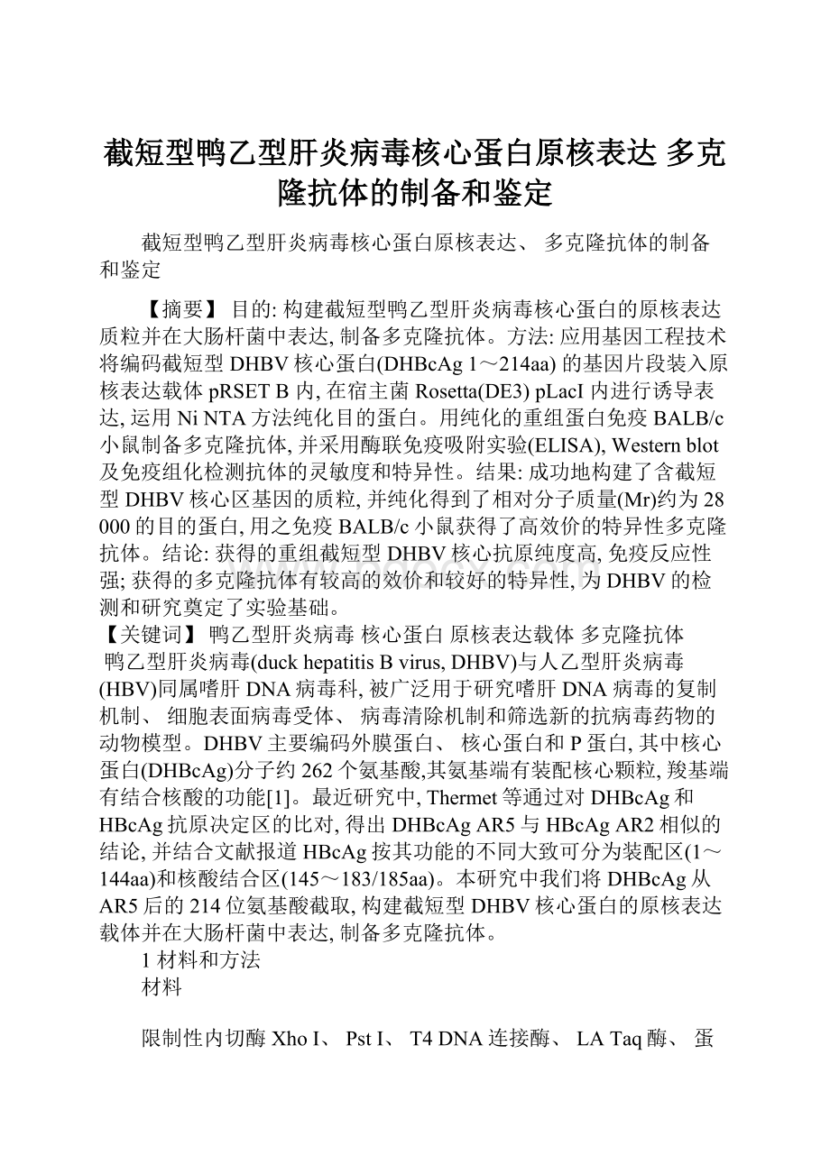 截短型鸭乙型肝炎病毒核心蛋白原核表达 多克隆抗体的制备和鉴定.docx