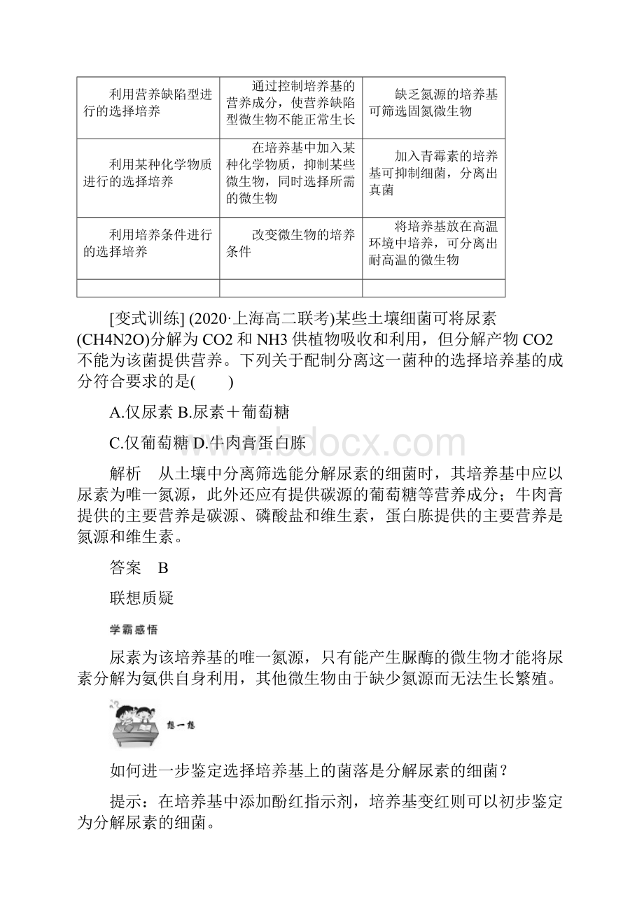 生物选择性必修3 第2课时 微生物的选择培养和计数.docx_第3页