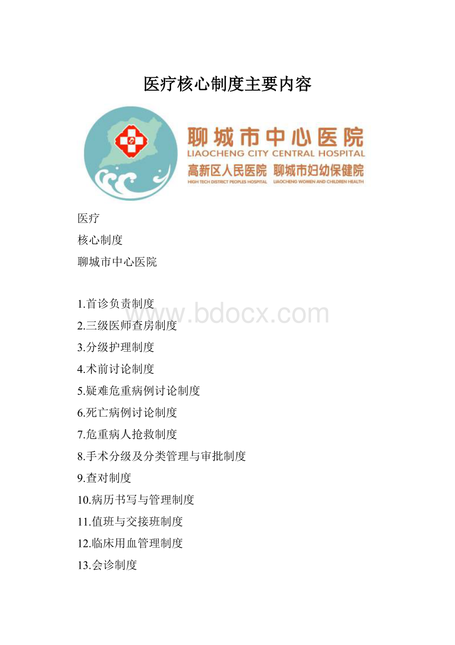 医疗核心制度主要内容.docx