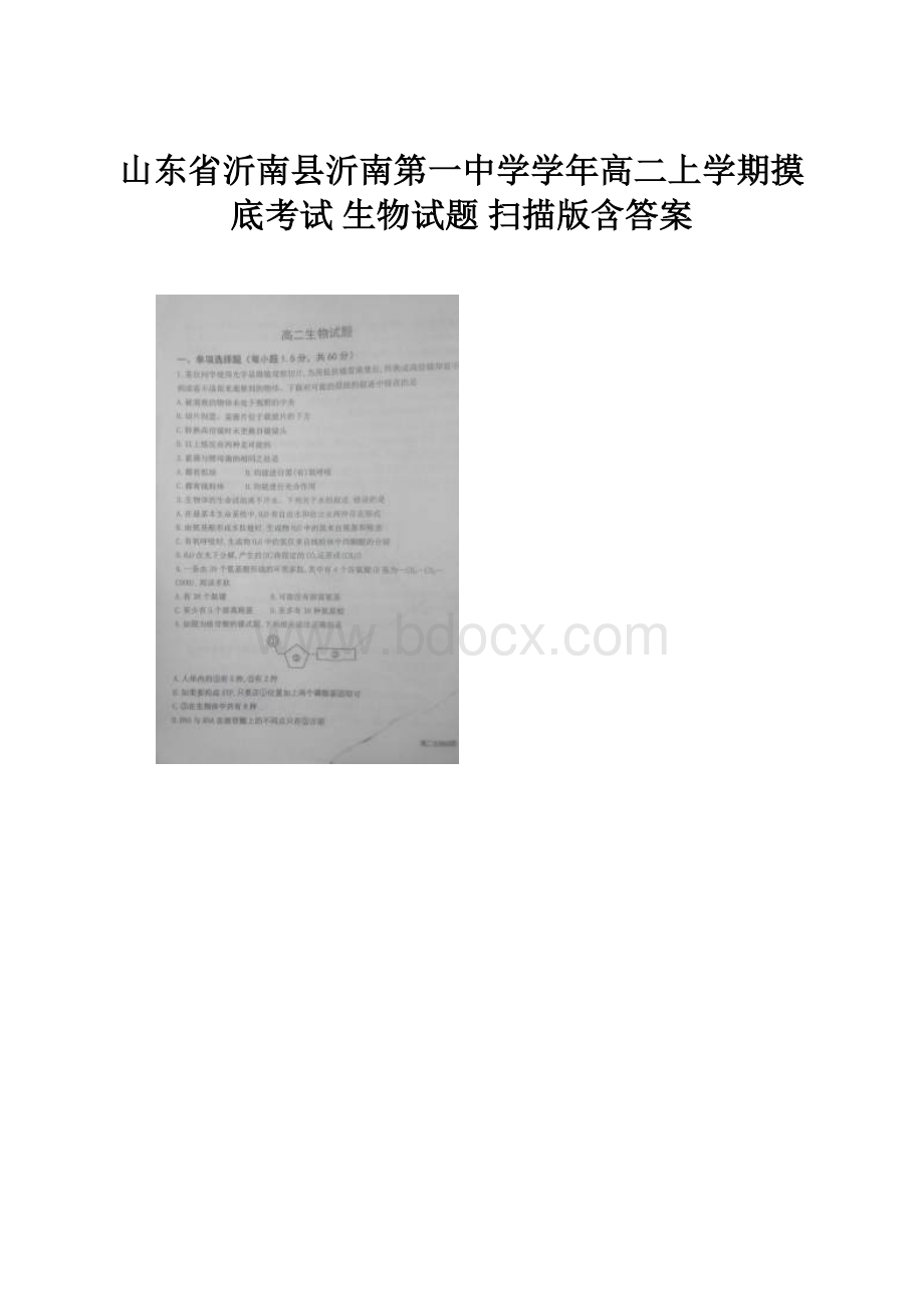 山东省沂南县沂南第一中学学年高二上学期摸底考试 生物试题 扫描版含答案.docx