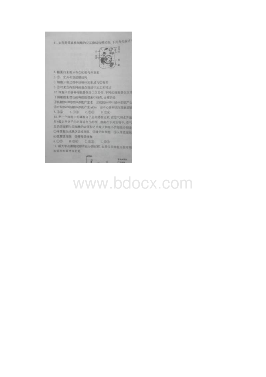 山东省沂南县沂南第一中学学年高二上学期摸底考试 生物试题 扫描版含答案.docx_第3页