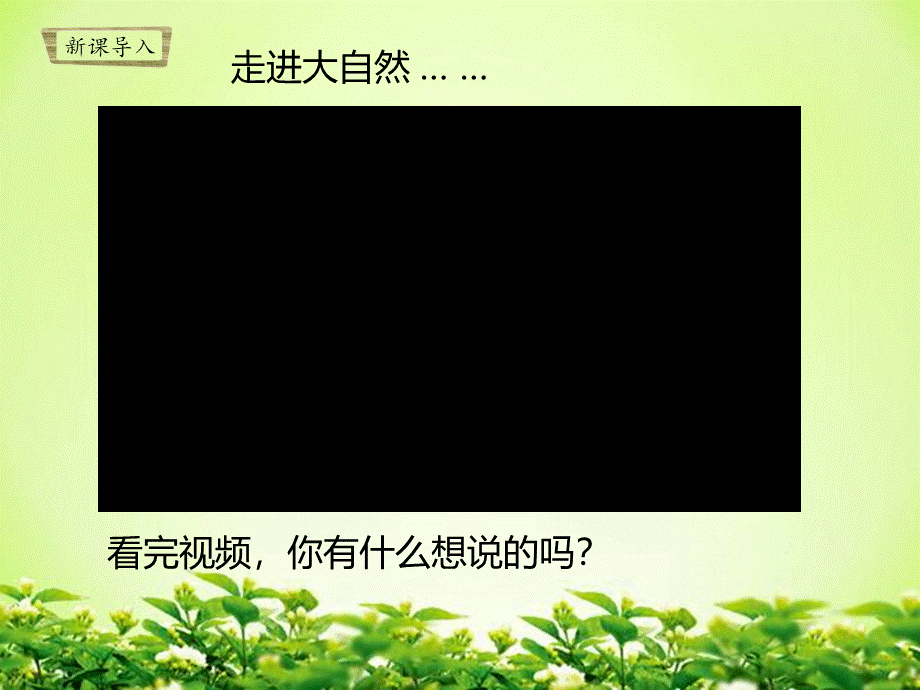 苏教版一年级科学下册专项学习《像科学家那样》课件PPT.pptx