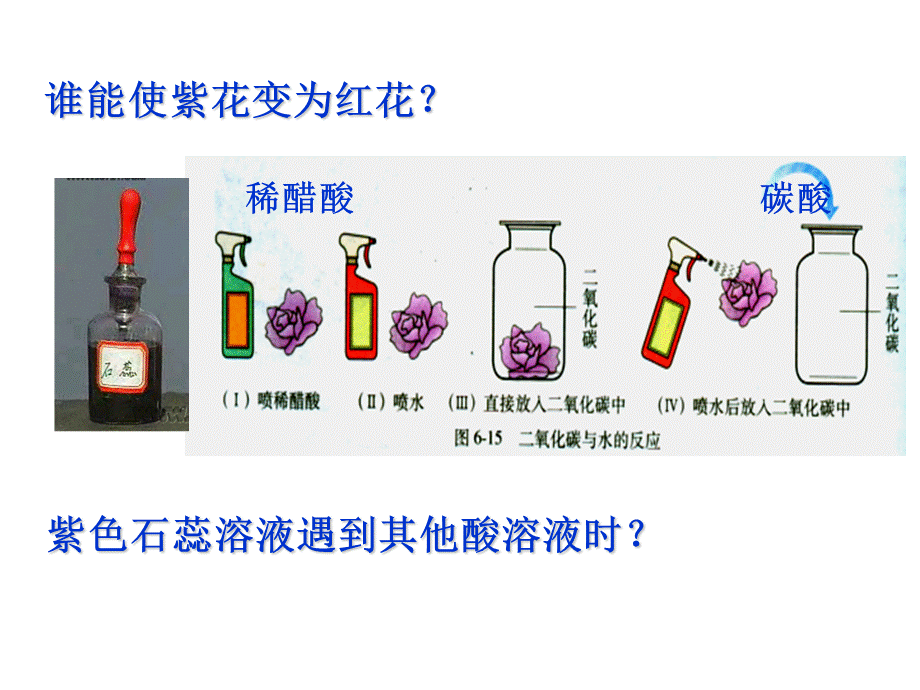 酸-碱-指-示-剂.ppt_第2页