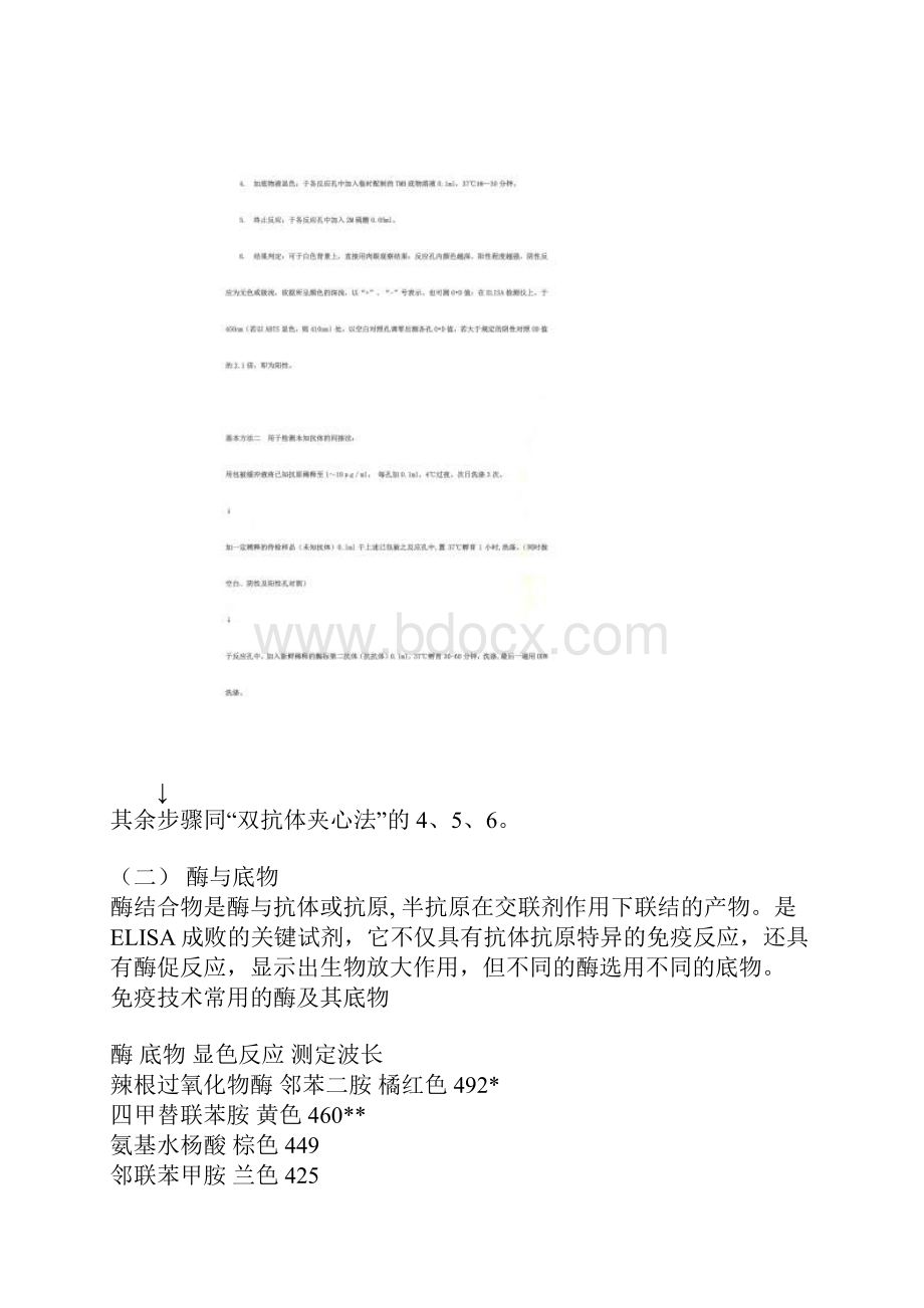 elisa酶联免疫吸附实验报告.docx_第3页