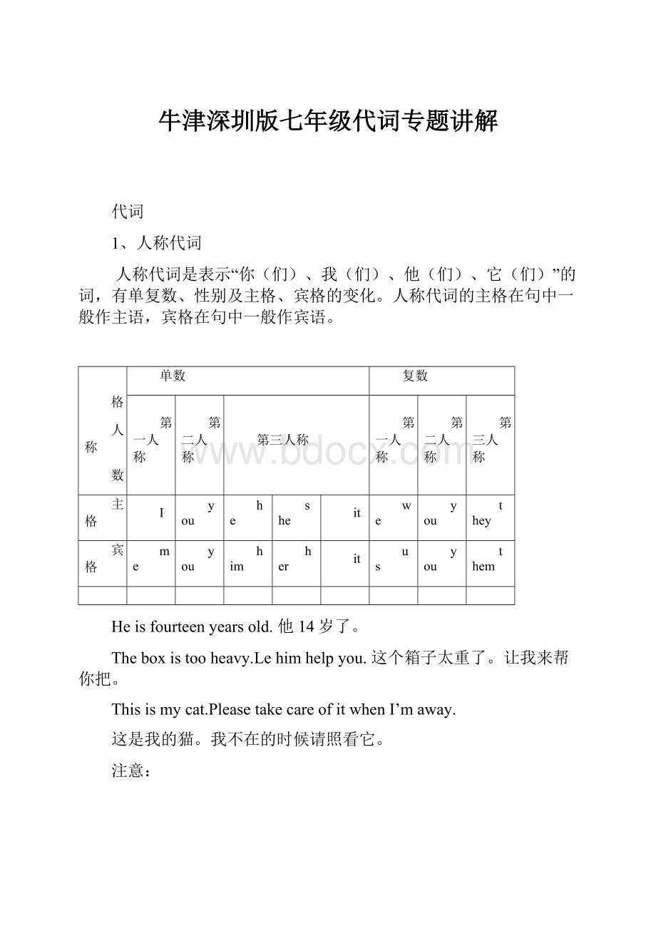 牛津深圳版七年级代词专题讲解.docx_第1页