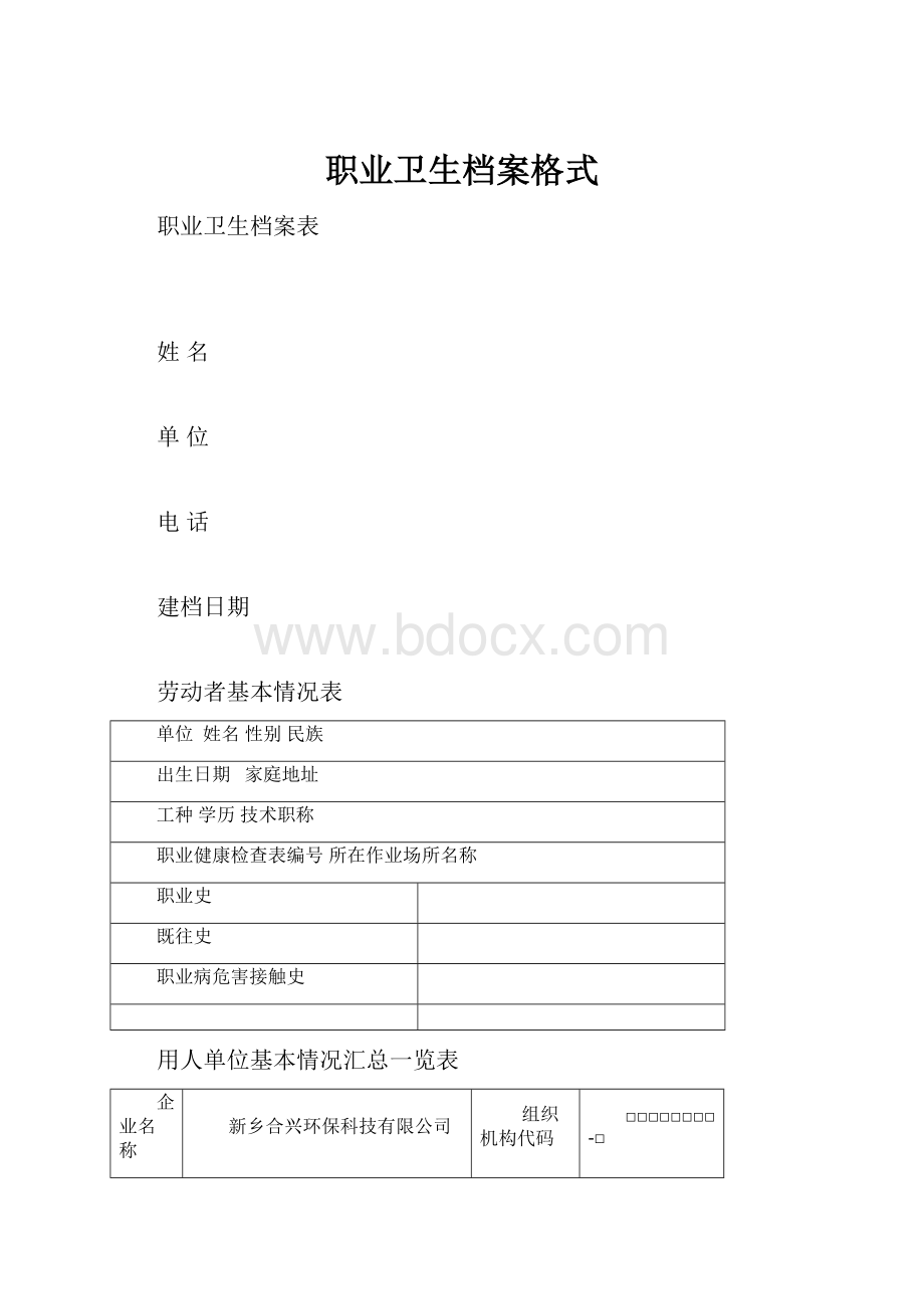 职业卫生档案格式.docx