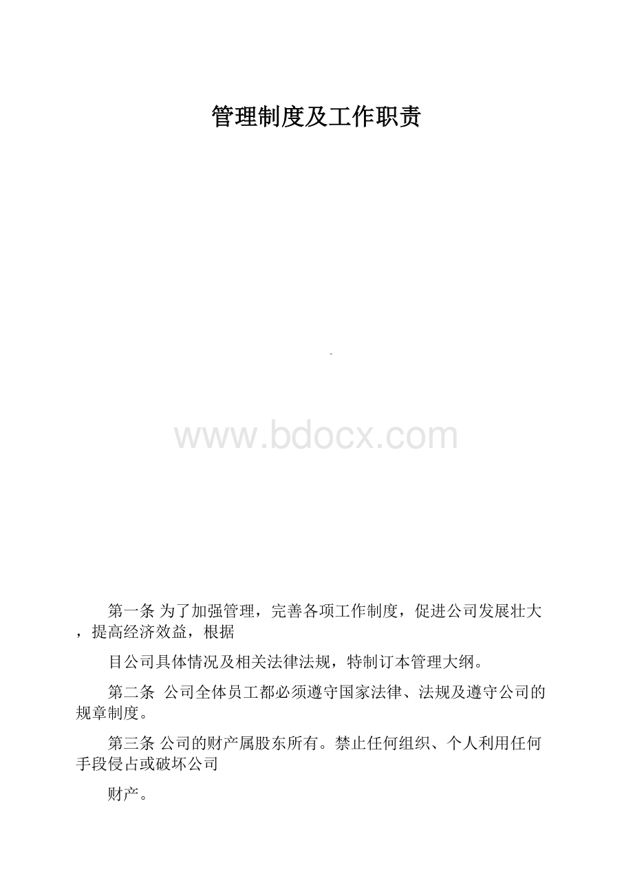 管理制度及工作职责.docx_第1页