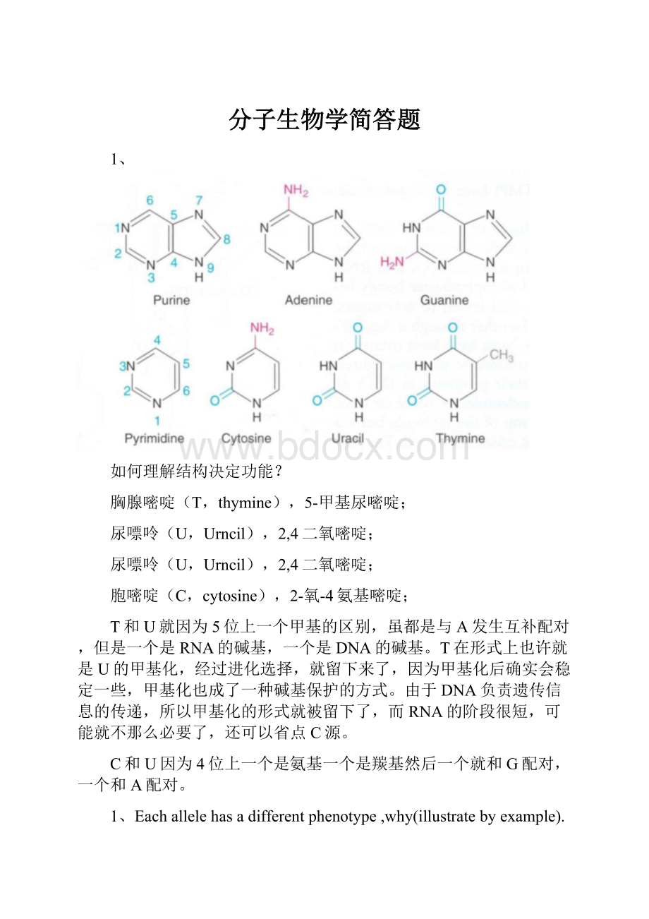 分子生物学简答题.docx