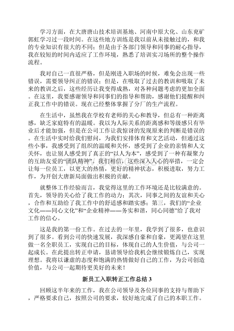 新员工入职转正工作总结.docx_第3页