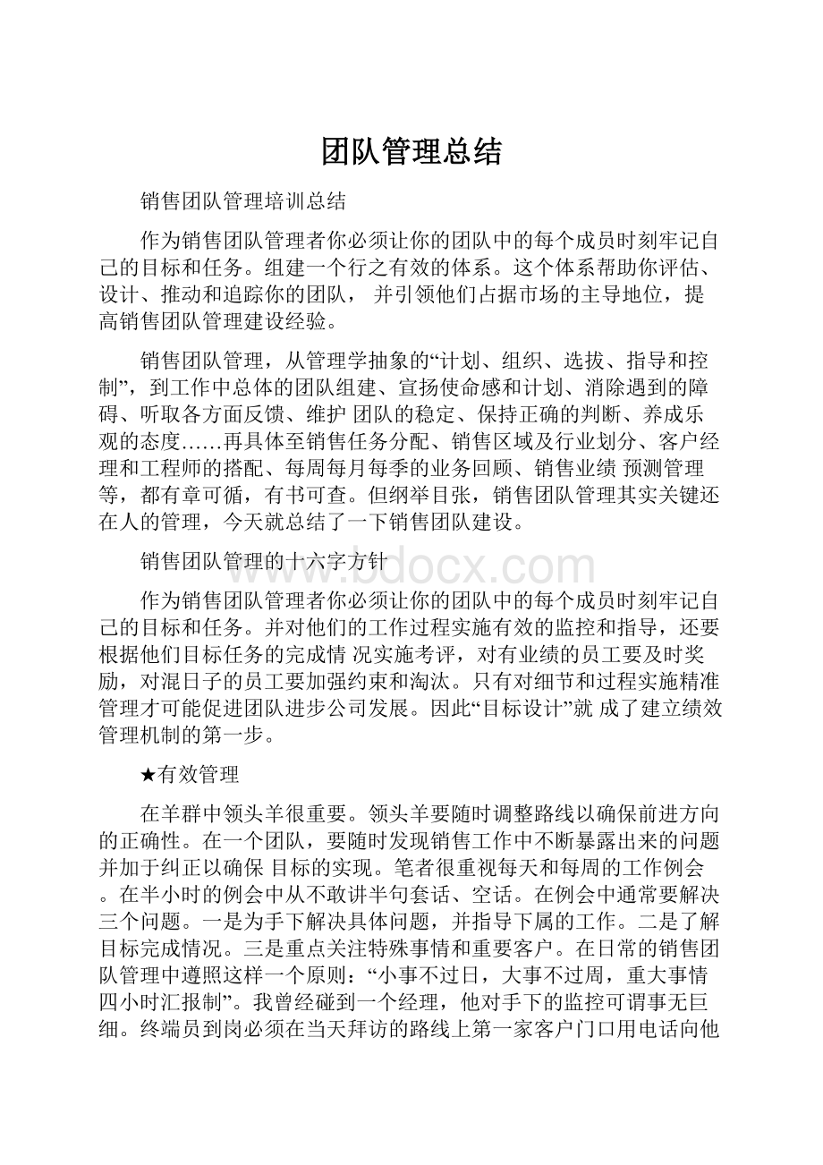 团队管理总结.docx_第1页