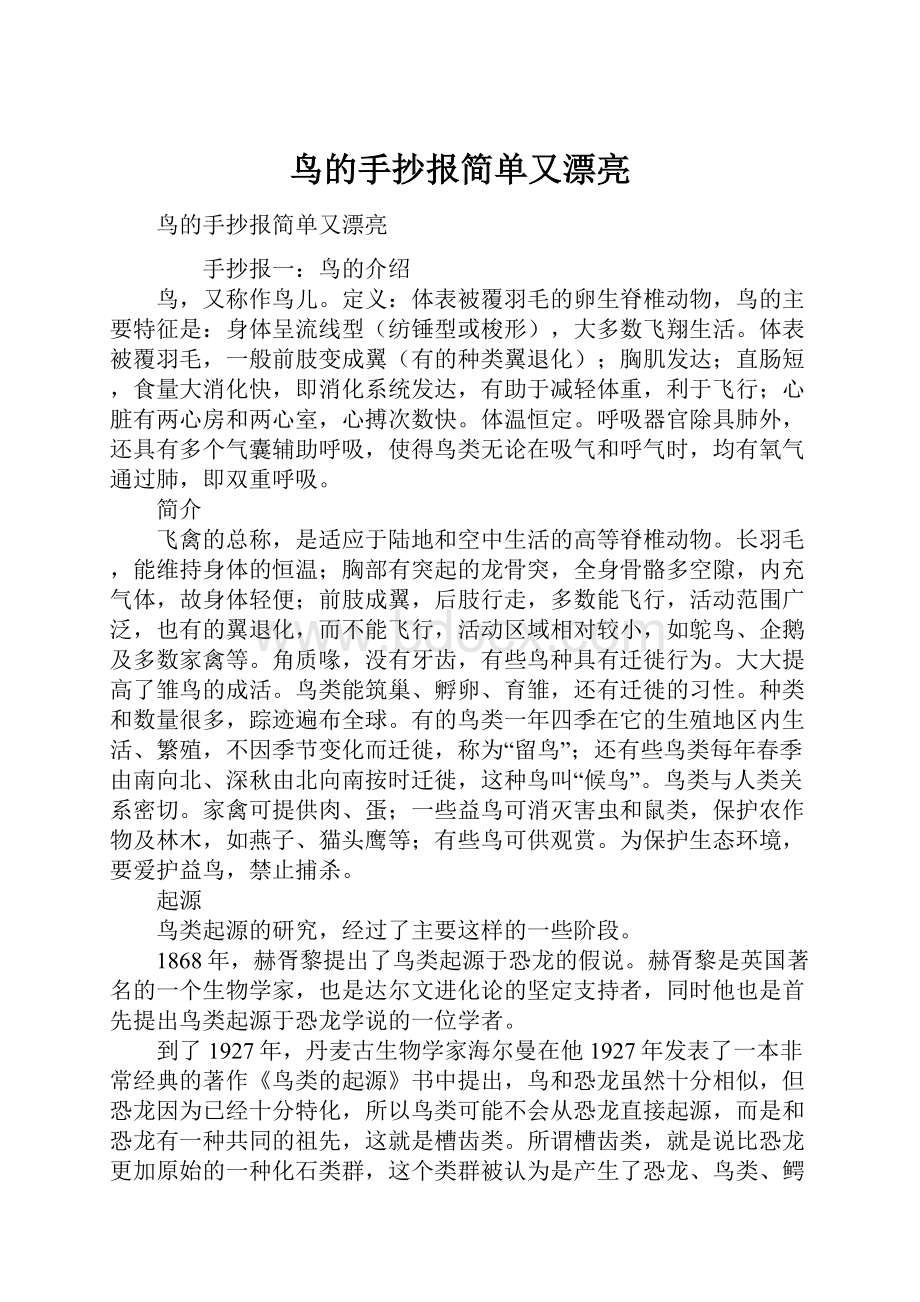 鸟的手抄报简单又漂亮.docx