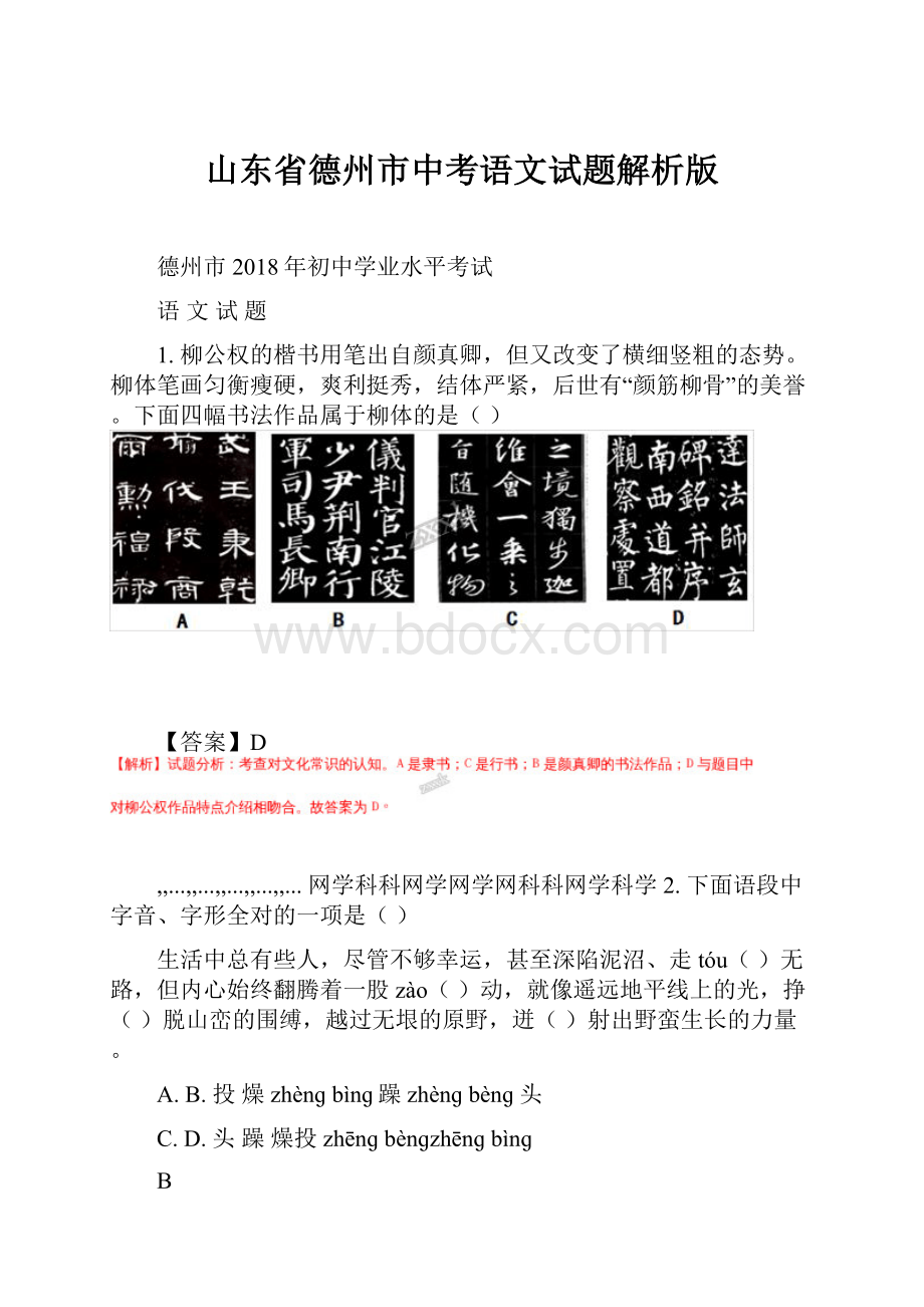 山东省德州市中考语文试题解析版.docx