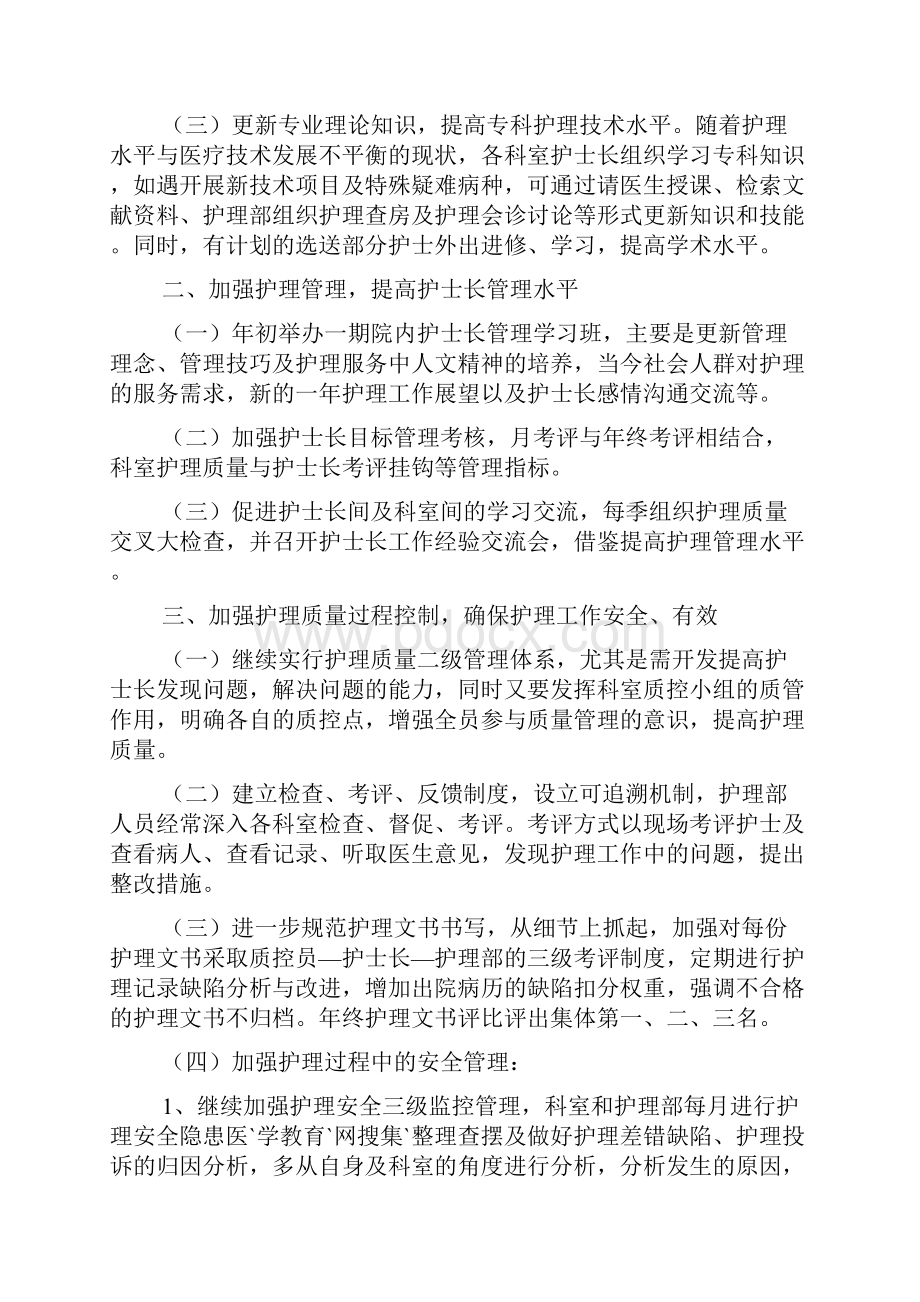 医院护理部工作计划医院工作计划.docx_第2页