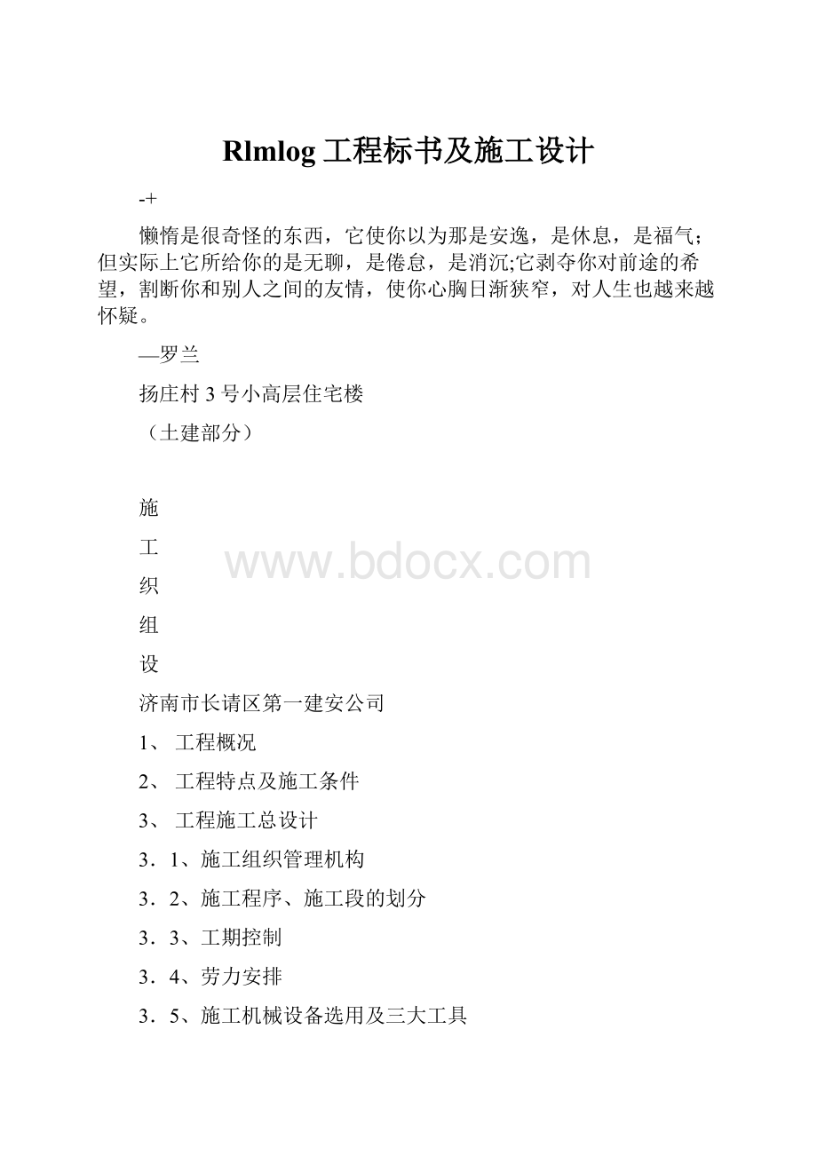 Rlmlog工程标书及施工设计.docx_第1页