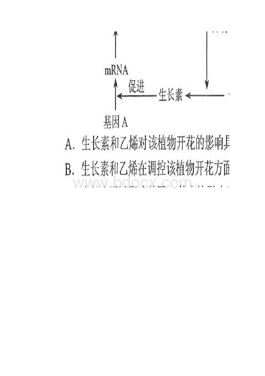 云南省届高三第二次高中毕业生复习统一检测理科综合化学试题 扫描版含答案.docx_第2页