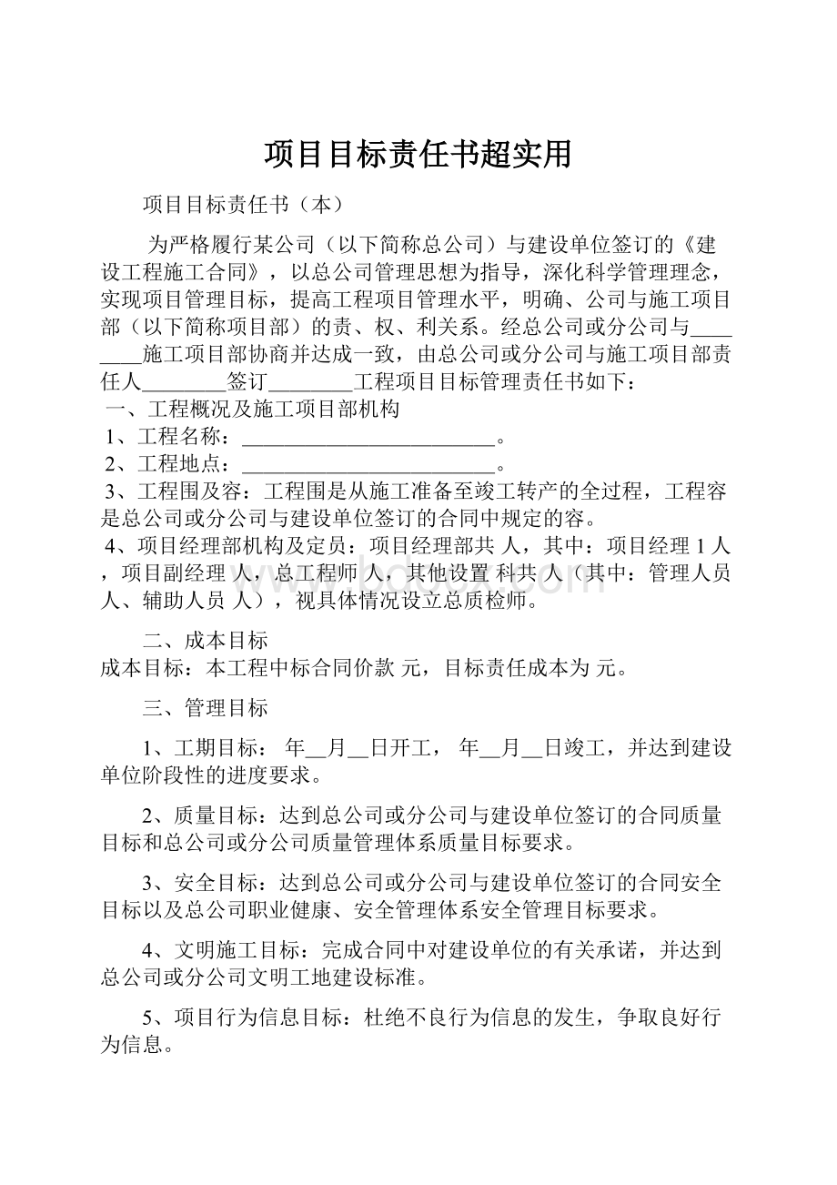 项目目标责任书超实用.docx_第1页