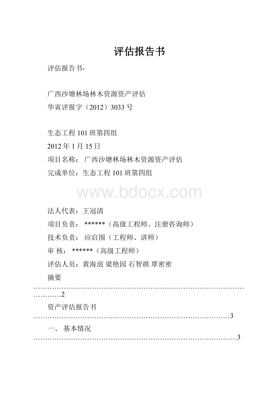 评估报告书.docx_第1页