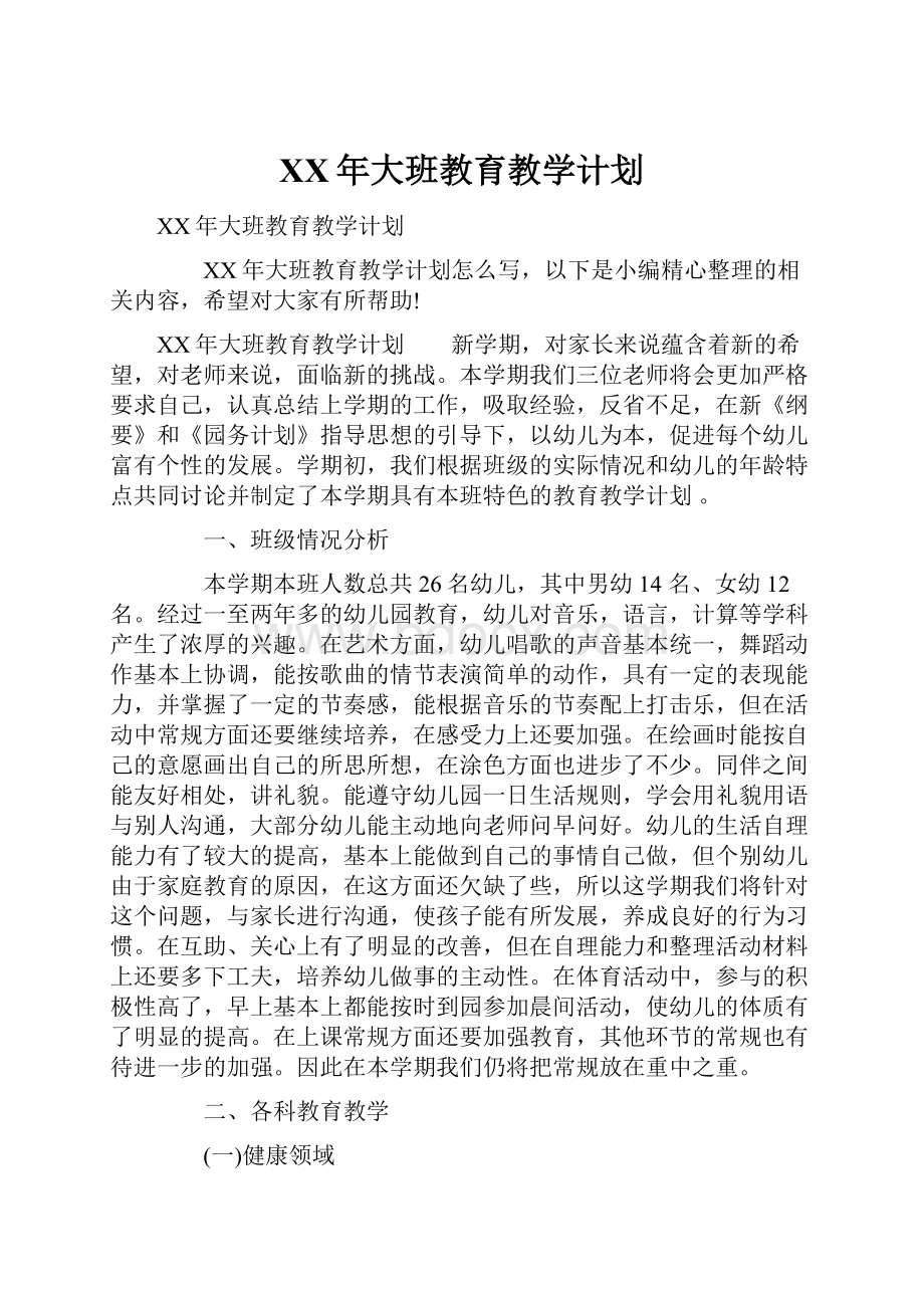 XX年大班教育教学计划.docx