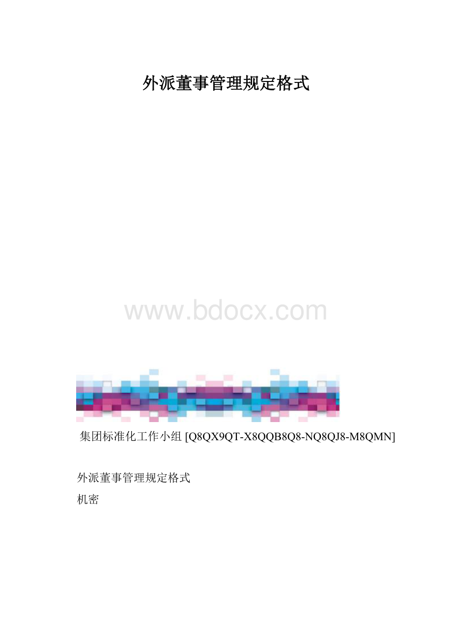 外派董事管理规定格式.docx