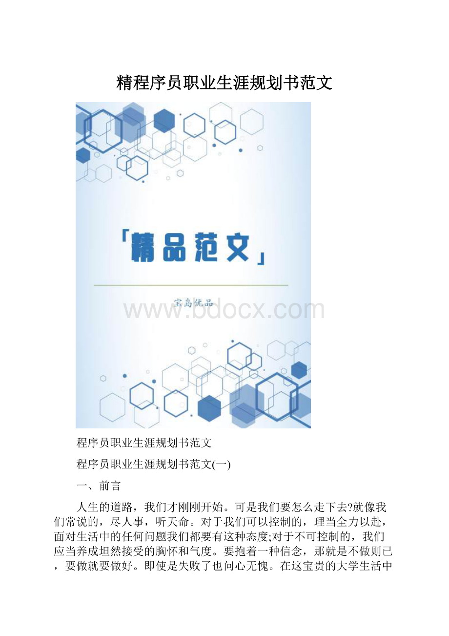 精程序员职业生涯规划书范文.docx