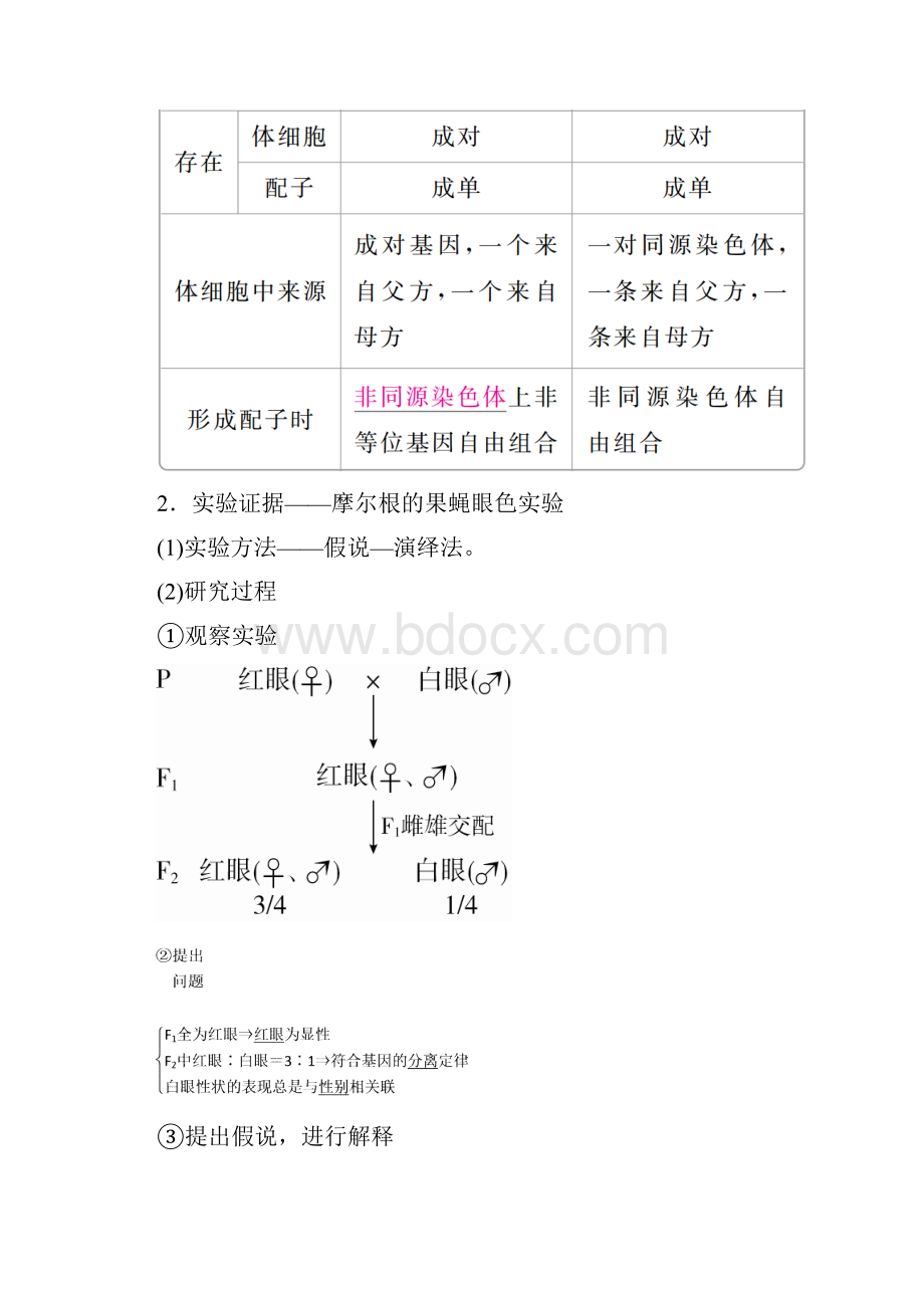 版高考生物一轮复习第17讲基因在染色体上和伴性遗传培优学案.docx_第2页