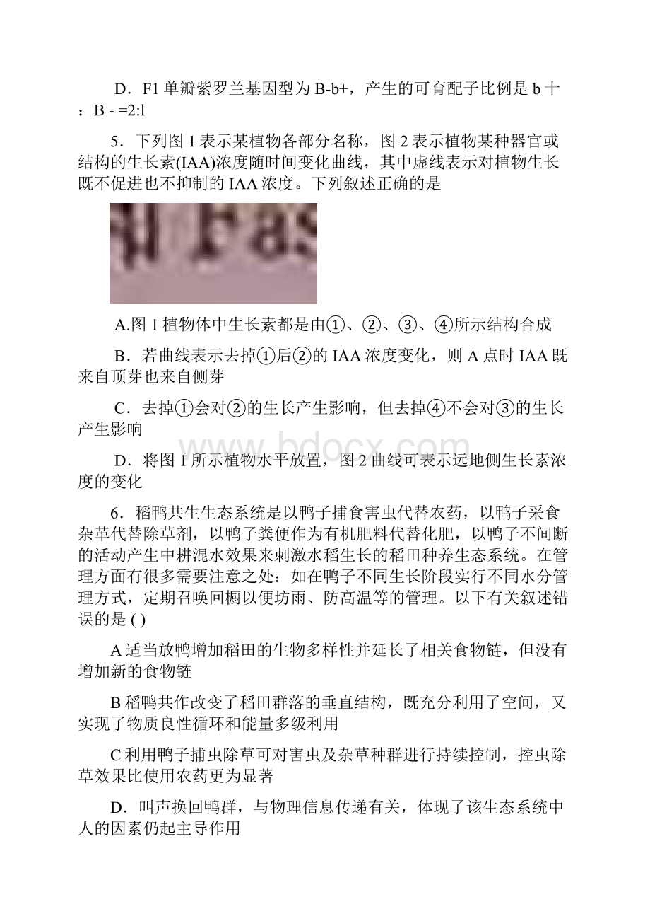 安徽省江南十校届高三上学期期末大联考理综试题.docx_第3页