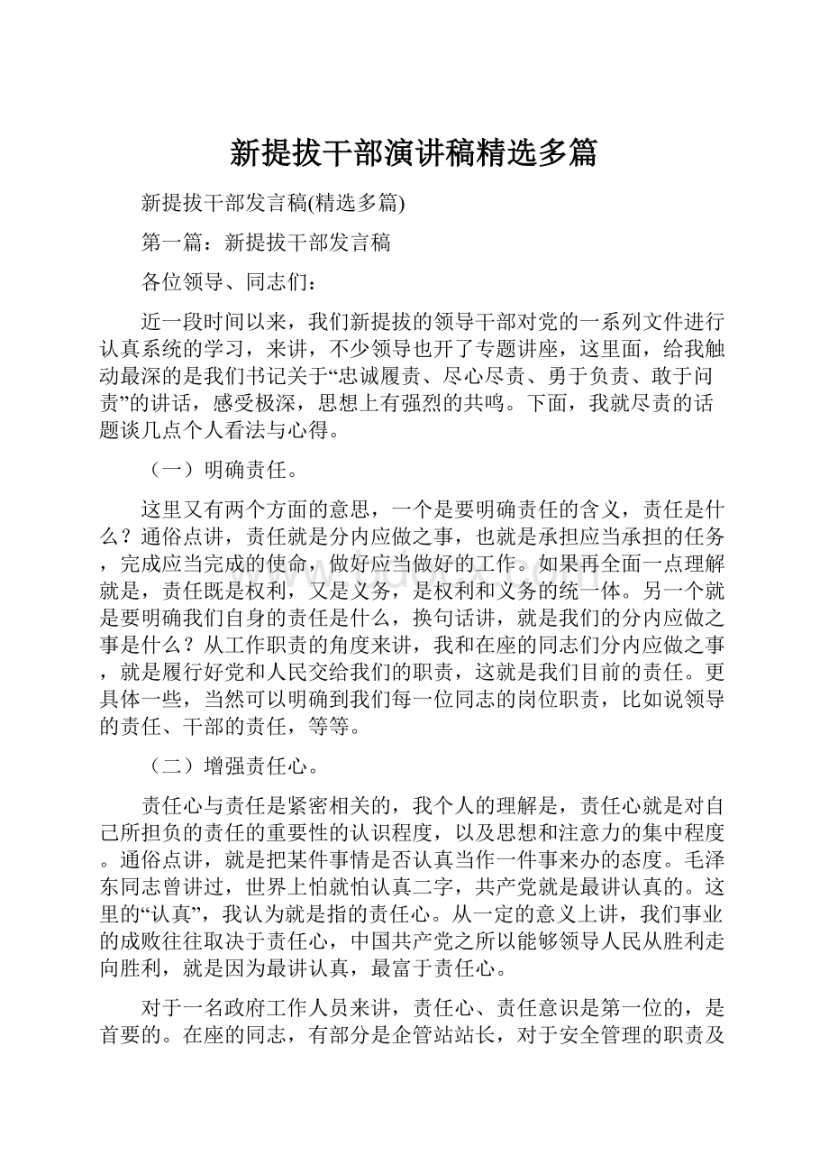 新提拔干部演讲稿精选多篇.docx