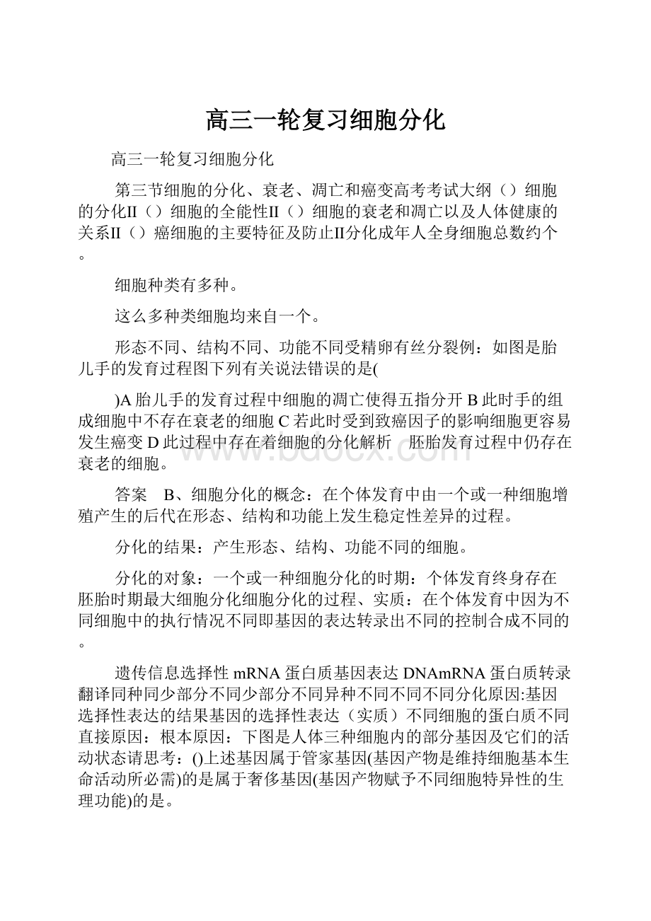 高三一轮复习细胞分化.docx