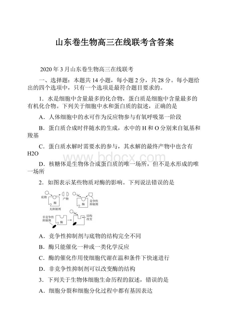 山东卷生物高三在线联考含答案.docx_第1页