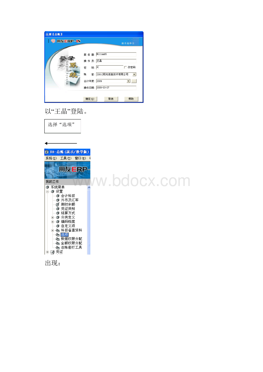 参考手册总账的使用.docx_第2页